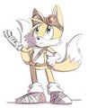 Sonic Boom: Tails by BlueChika