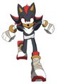 Sonic Boom - Shadow