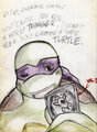 Safe turtle