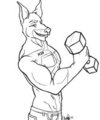comm: one hunky hound