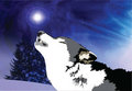 Wolf in the winter by hazdak