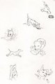 Basic dog doodles