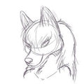 Wolf Fem Sketch