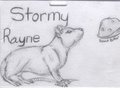 Stormy Feral Badge