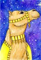Gold Court Camel ACEO