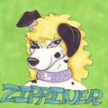 Zippiner