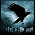 The Bird and the Worm (Cover, Instrumentals Only)