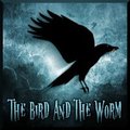 The Bird and the Worm (Cover)