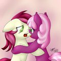 Roseluck and Cheerilee