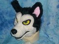 Angry Husky Fursuit for sale! 2 day left!!