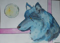 Blue Wolf by LittleBlueDog