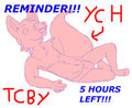 BUY ME YCH REMINDER : ENDS IN 5 HOURS!!!