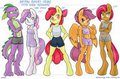 Anthro Height Chart: Cutie Mark Crusaders and Spike by Ambris