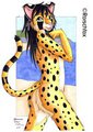 Tamara (cheetah) by Rorschfox