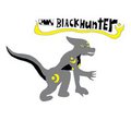 blackhunter