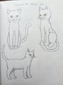 Cat drawing training