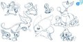 Pokémon Sketch Page by Afterglow