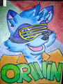 Orwin Badge BLFC 2014