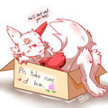 Zangoose in the box by chocobo