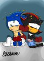 Sonic vs. Shadow: Double Knockout!