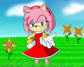 Amy Rose by NegiCake