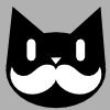Mysterious Mustache Cat