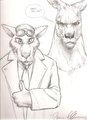Rattus and Killeroo [by Darren Close]