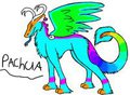 Pachua the angel dragon by RavePartycat