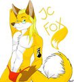 To much clothes for a Fox :P