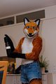 Wine Fox