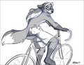 Bike Fox