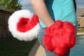 Red Husky Tail and Paws for Sale