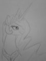 Celestia Sketch