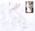 My sitting plush bunny