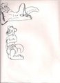 Otters drawings