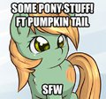 Pony Stuffs~
