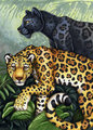 Pathfinders Totem Card - Jaguars