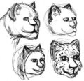 Naowly Head angle sketches by Fuzzyball