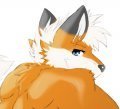 Acru-Fox Backside View 