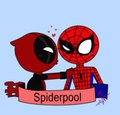 Spiderpool~