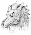 Dragon by Silberwolf