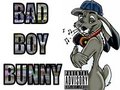 BadBoyBunny