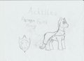 Achilles- The Paragon Earth Pony by ShadeLeshyr