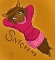 Snickers the alpaca.
