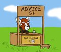 Advice Panda