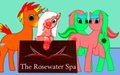The Rosewater Spa crew