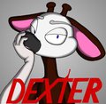 Dexter (the Okapi)