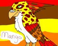 Mango the bird