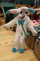 My Fursuit Chili by ChiliDC