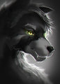 SpeedPaint- Commission: bobbycorwin 